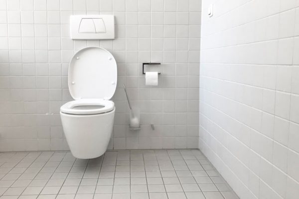 Toilet in bathroom | NDG Contractors | Plumbing & Gasfitting Sunshine Coast